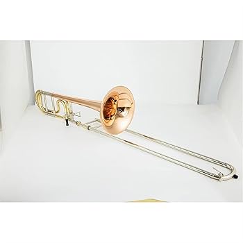 【専用商品】ammoon トロンボーン 本体 ケース付き 51PWnd8aWyL.jpg_BO30,255,255,